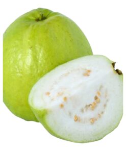 Guava (Psidium guajava) – Sweet & Juicy Tropical Fruit Plant | High-Yield Grafted Variety for Home Garden & Terrace | Biopark Plants